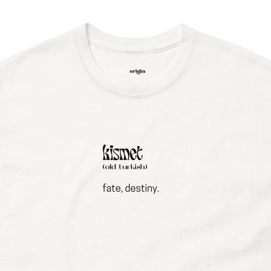 unisex-classic-tee-white-front-6722a59c92eba_edited.jpg