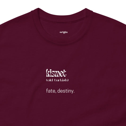 unisex-classic-tee-maroon-front-6722a27ede878_edited.jpg